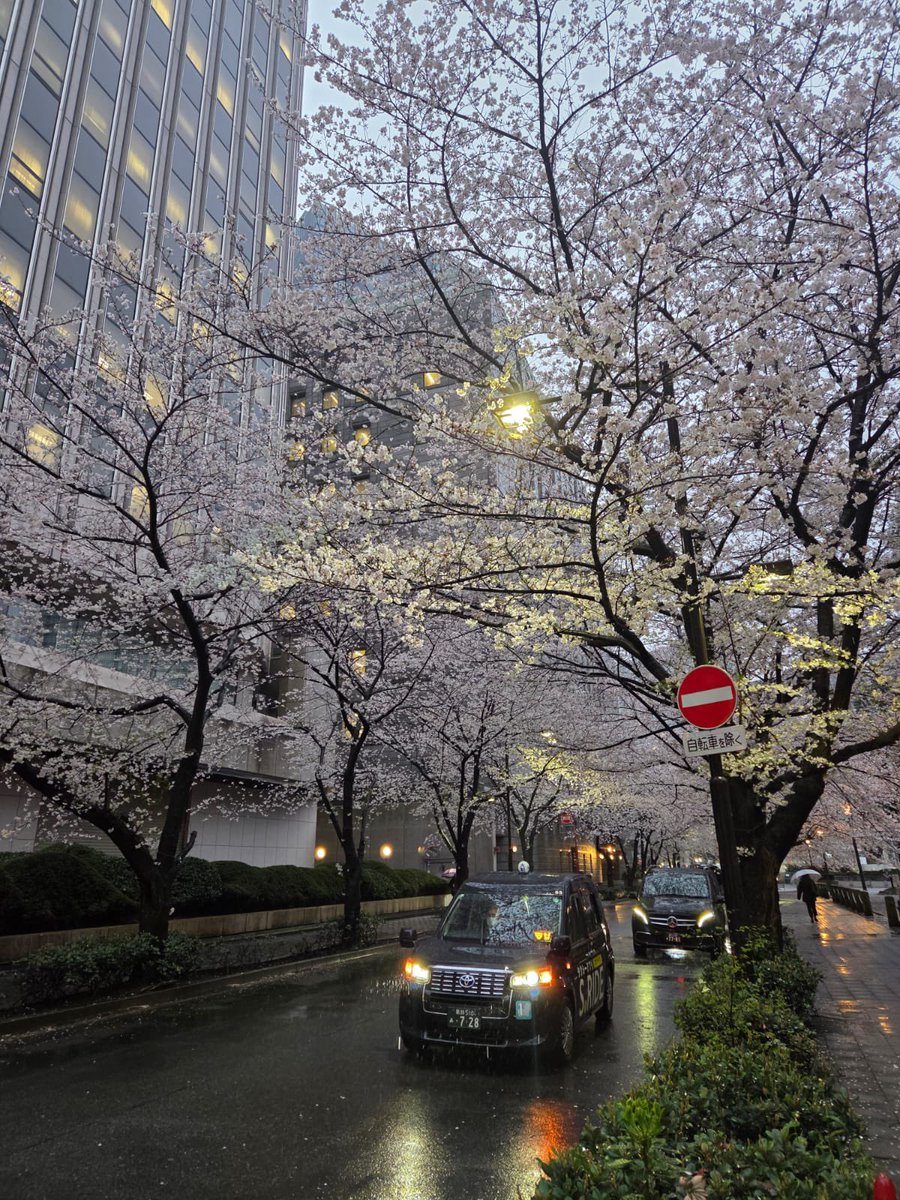 That3li's tweet photo. Till next time Japan ♥️ https://t.co/gLlrxBJQh2