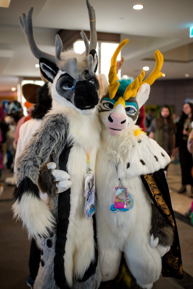 Conrad Caribou 🔜 FWA, AC tweet media