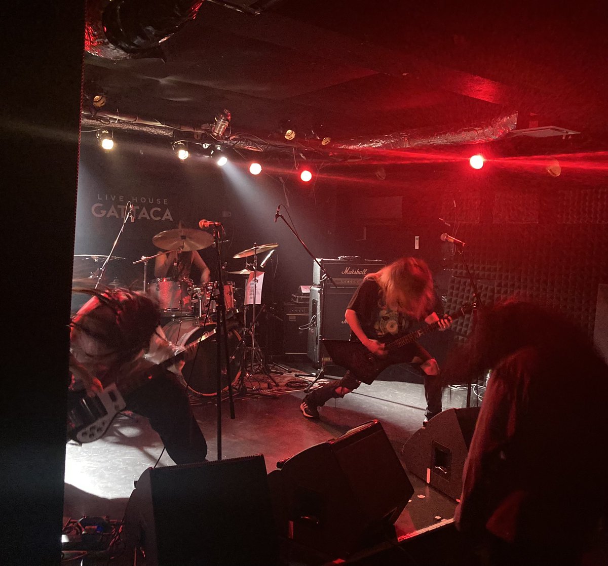 maplehaze1992's tweet photo. きつねび https://t.co/Emdx45IMoo