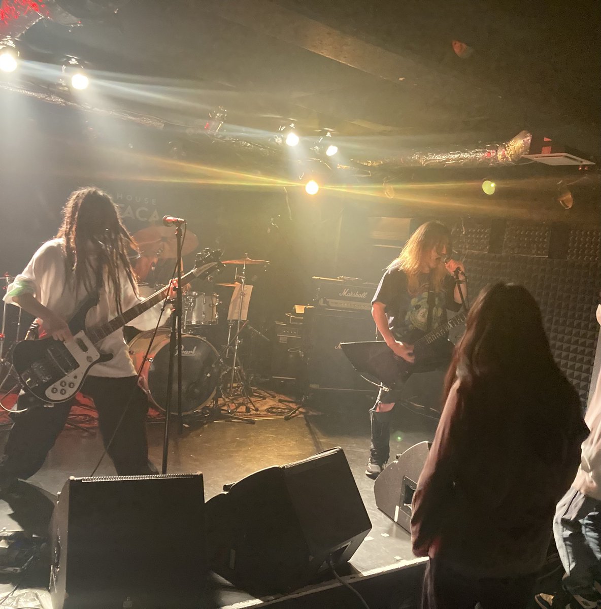 maplehaze1992's tweet photo. きつねび https://t.co/Emdx45IMoo