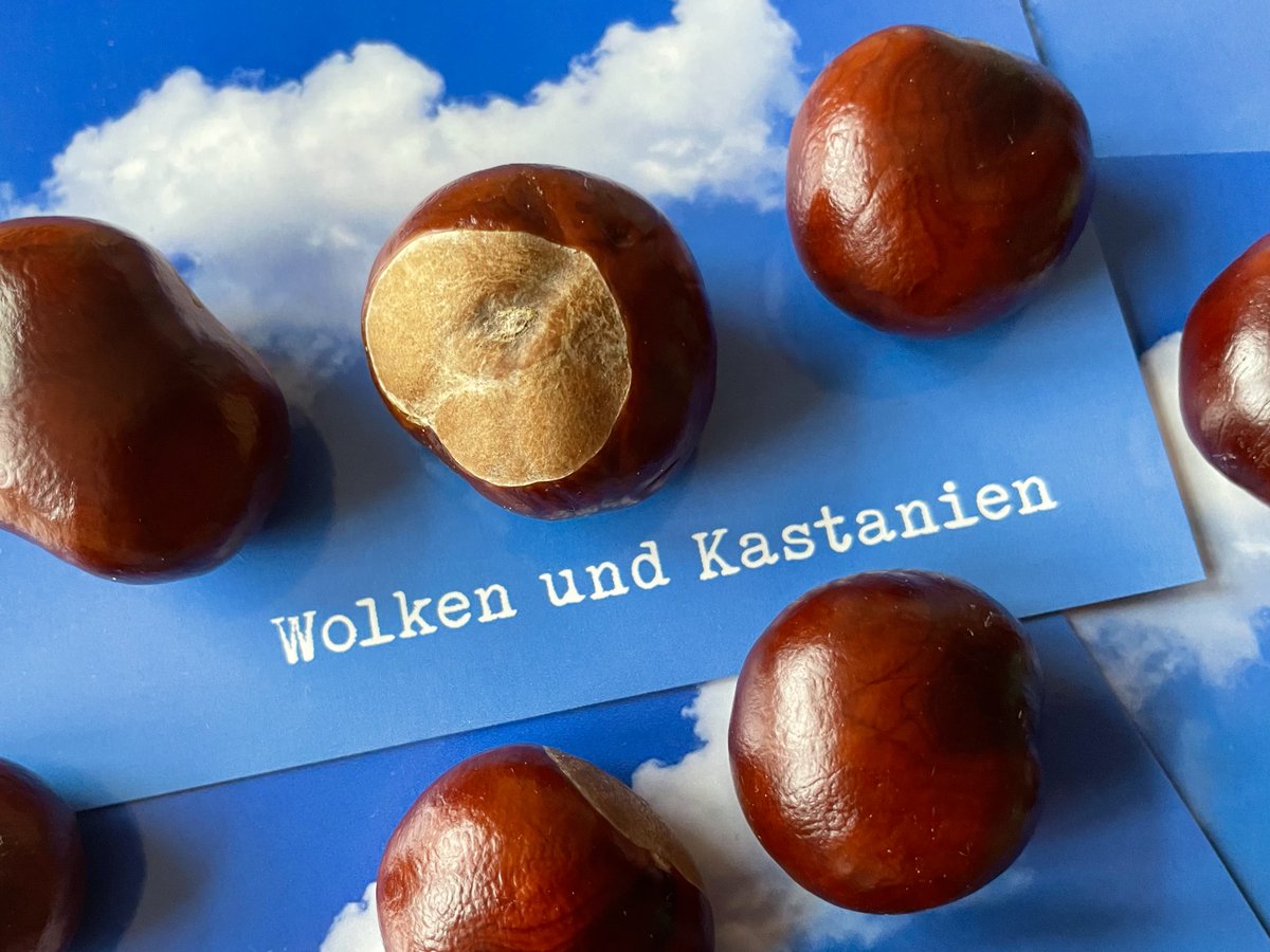 Am Sonntag verschick ich bei „Wolken und Kastanien“ meine neue Geschichte. Tragt euch kostenlos hier ein, dann habt ihr sie noch vor dem Sonntagsfrühstück in eurem Postfach: 👉🏼 steadyhq.com/de/renatus-dec…