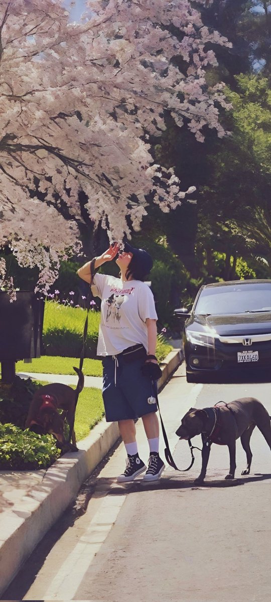 billish_1999's tweet image. wallpaper