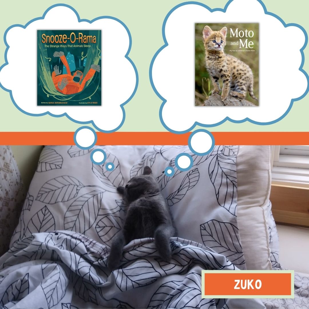 Happy #NationalPetDay! 

We have some purr-fect #PetPicks for your next book from our very professional furry friends at the office 🐶🐈 

#BookRecs #KidLit