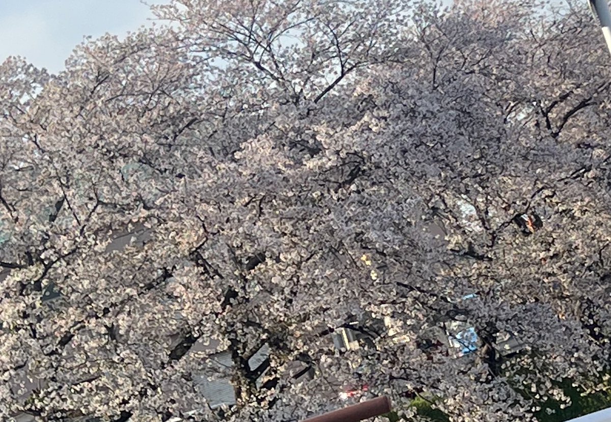 撮り方の癖