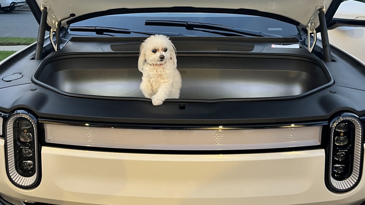 Our friend-shaped passengers are the best!

Learn why their owners love Rivian's Pet Comfort mode: rivn.co/NationalPetDay