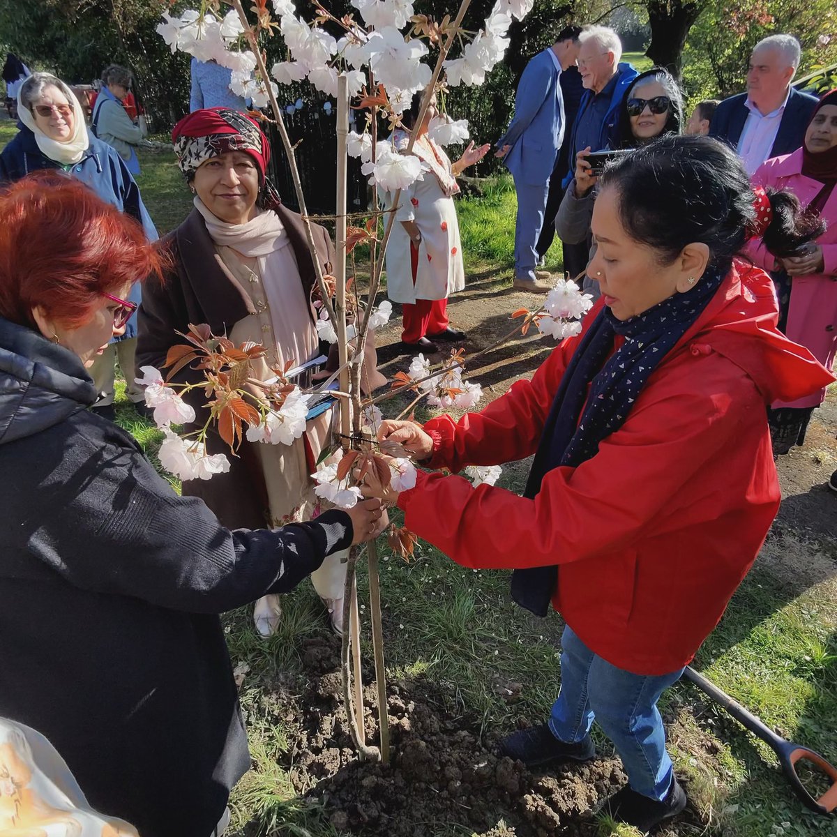 metecoban92's tweet photo. It was brilliant to join the Muslim Women of Merton to see the transformation of Mostyn Gardens in Merton Park.

Backed by City Hall funding, their hard work has created a greener, more welcoming space that brings the community together @Merton_Council 🌱🌍 https://t.co/0p9L27Cc4w
