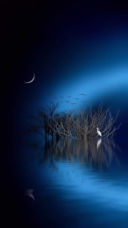 Lexi (@spezialaccount) on Twitter photo 