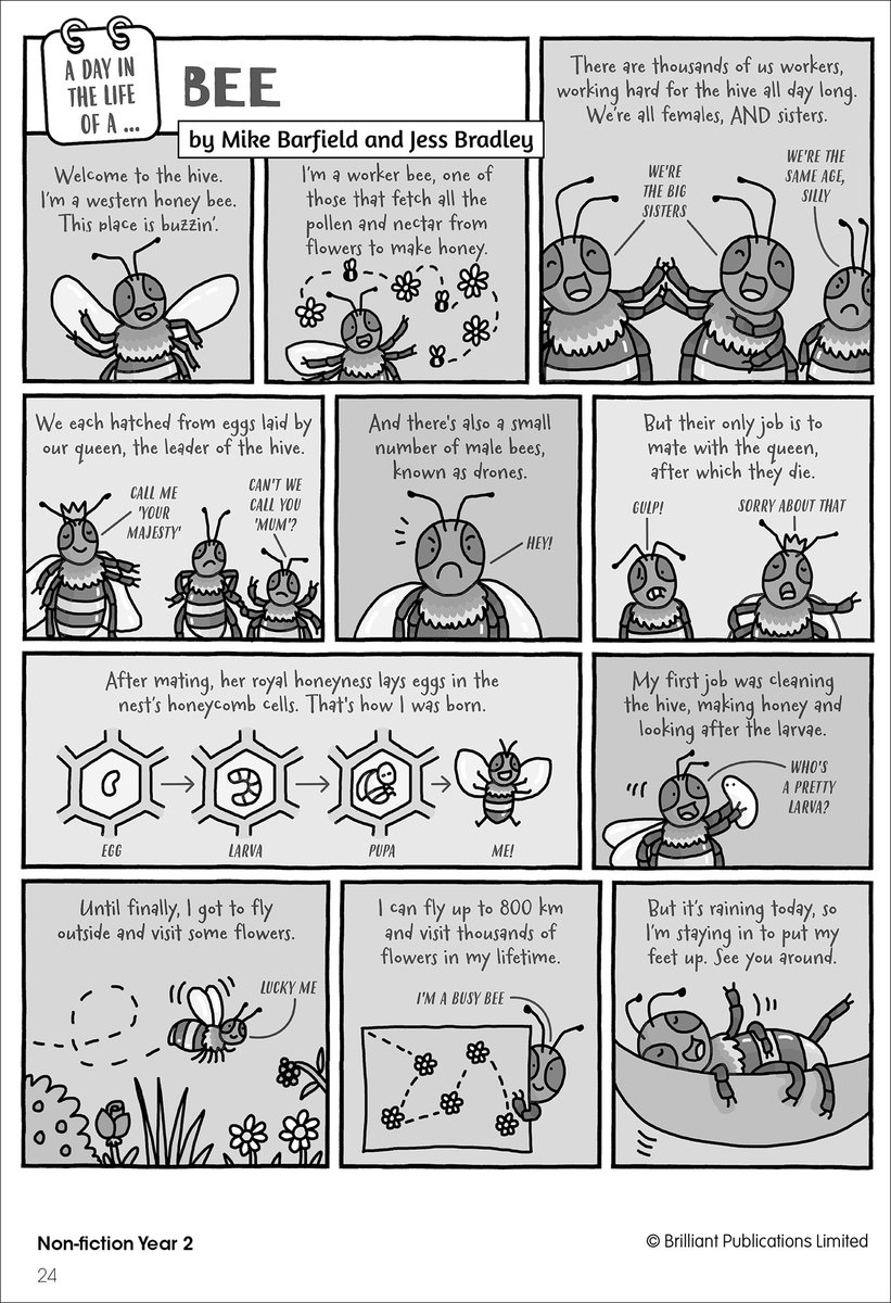 As a source of information, non-fiction texts can be short passages and complete in themselves. Children will not feel the need to go on reading more and more.
brilliantpublications.co.uk/a-perfect-way-…