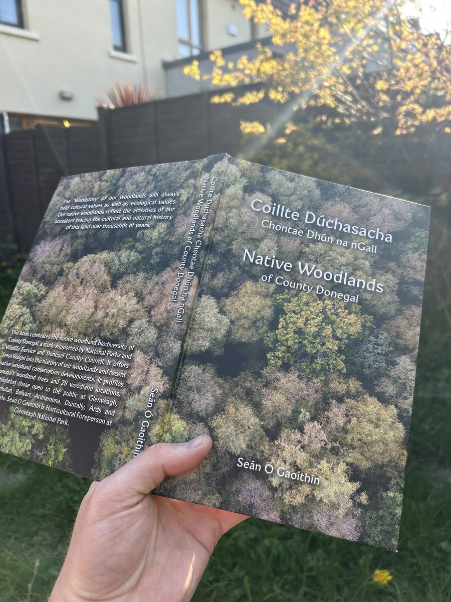 What a wonderfully enjoyable read this was, and I might get a chance to see some of the ancient Donegal woodlands in June! Well done <a href="/OGaoithinsean/">Sean O Gaoithin</a>