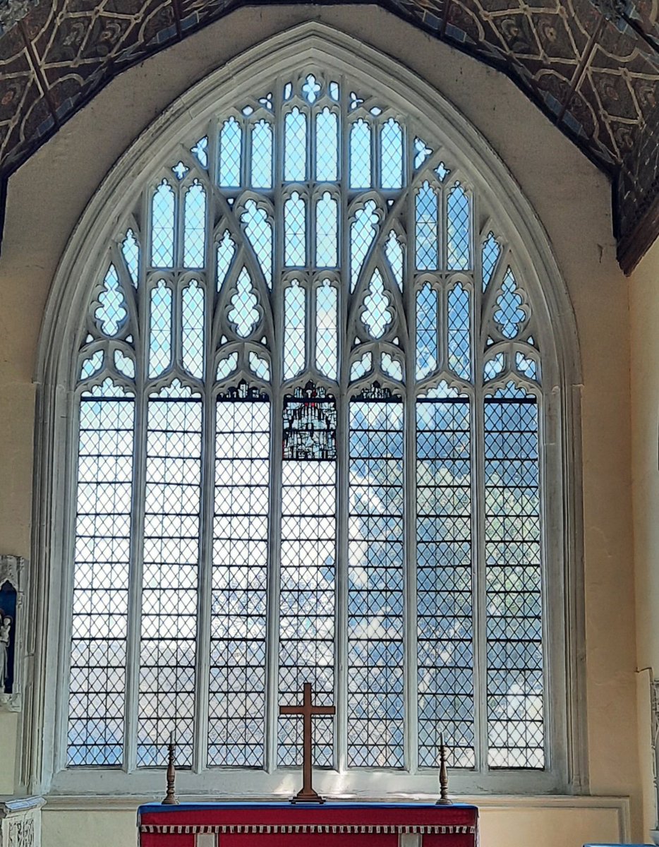 Running Bear 🇺🇦 tweet media