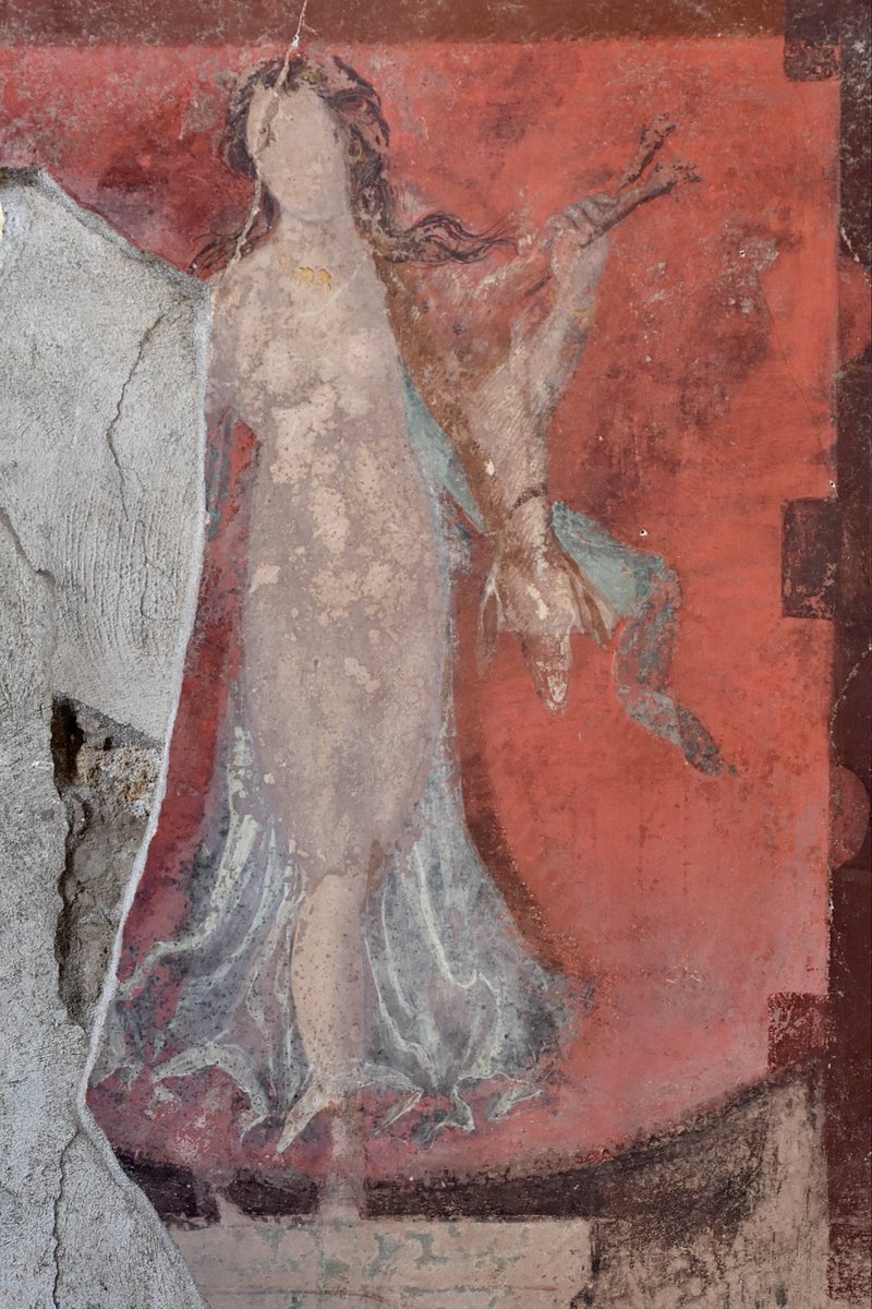 pompei79's tweet image. The Baccantes, the priestesses of the cult of Dionysus, in the House of the Thiasus #Pompeii.
The rites of the female cult included the notion of abandoning your family and going into the woods to hunt which is why they are shown holding animals, organs, and a knife #FrescoFriday