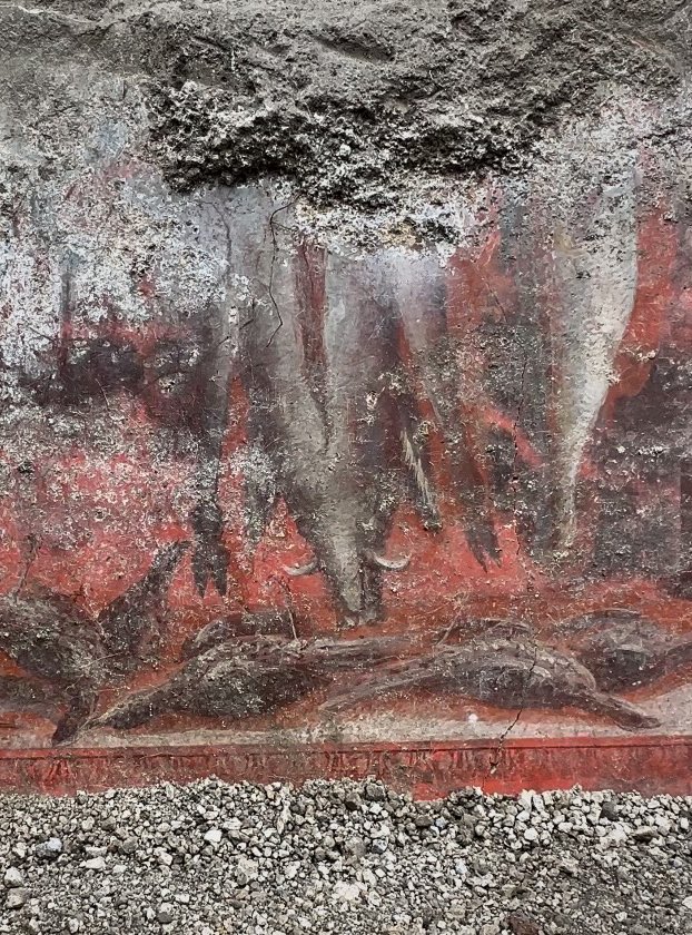 pompei79's tweet image. The Baccantes, the priestesses of the cult of Dionysus, in the House of the Thiasus #Pompeii.
The rites of the female cult included the notion of abandoning your family and going into the woods to hunt which is why they are shown holding animals, organs, and a knife #FrescoFriday