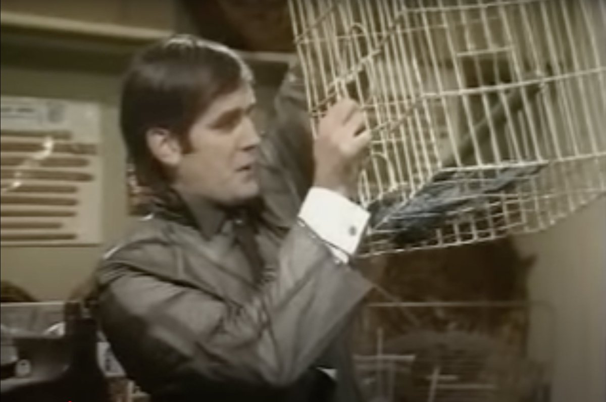Inference latest: The Parrot Is Dead

We've had indications for a while that AI models aren't just "stochastic parrots". Anthropic's new research has proved it: large models are learning circuits to solve general classes of problems.

But what separates this from human reasoning?