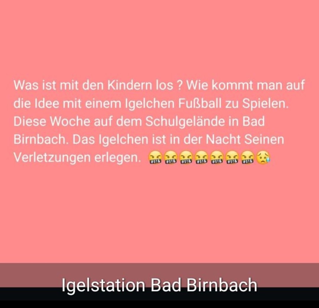 Passiert in unserem Landkreis. Was ist mit diesen Kindern los? Fast täglich inzwischen derartige Meldungen. 😡😡
#Twitterrudel