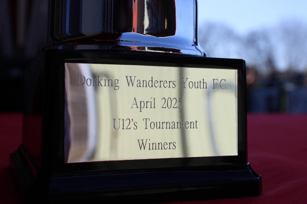 Dorking Wanderers Academy tweet media
