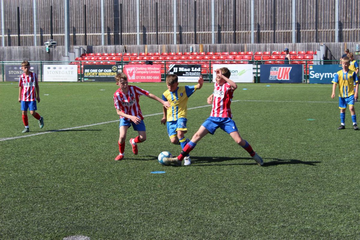 Dorking Wanderers Academy tweet media