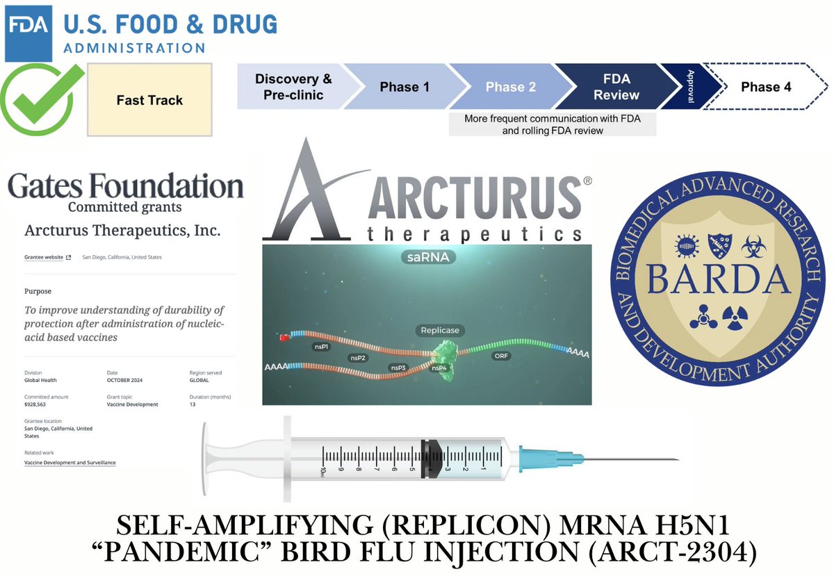 🚨BREAKING: FDA Fast Tracks Gates Foundation &amp; BARDA-Funded Experimental Self-Amplifying mRNA Bird Flu Injection

ARCT-2304 replicates inside your cells like a synthetic virus—producing toxic antigens and potentially shedding for an unknown duration.

⚠️This risks irreversible