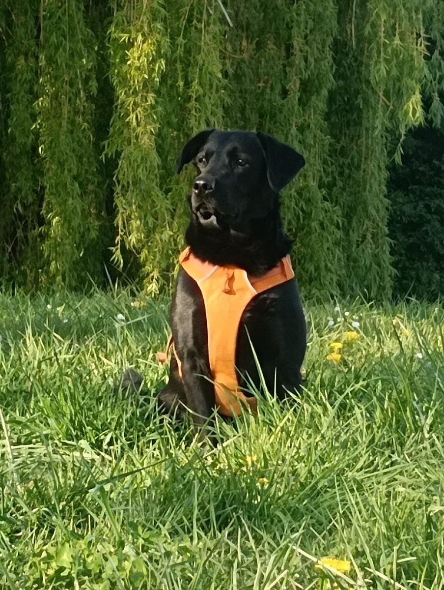 aurelieweizmann's tweet image. #beauté 
#printemps 
#balades