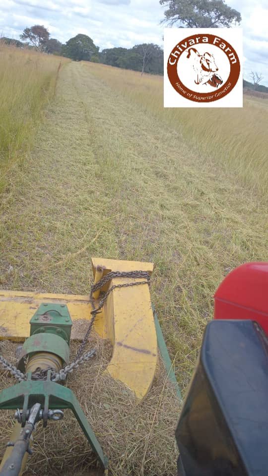 Chivara Farm tweet media