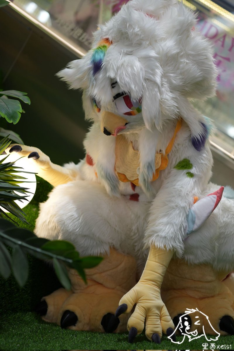 亮亮的，莫名感觉像在森林里（？）#FursuitFriday