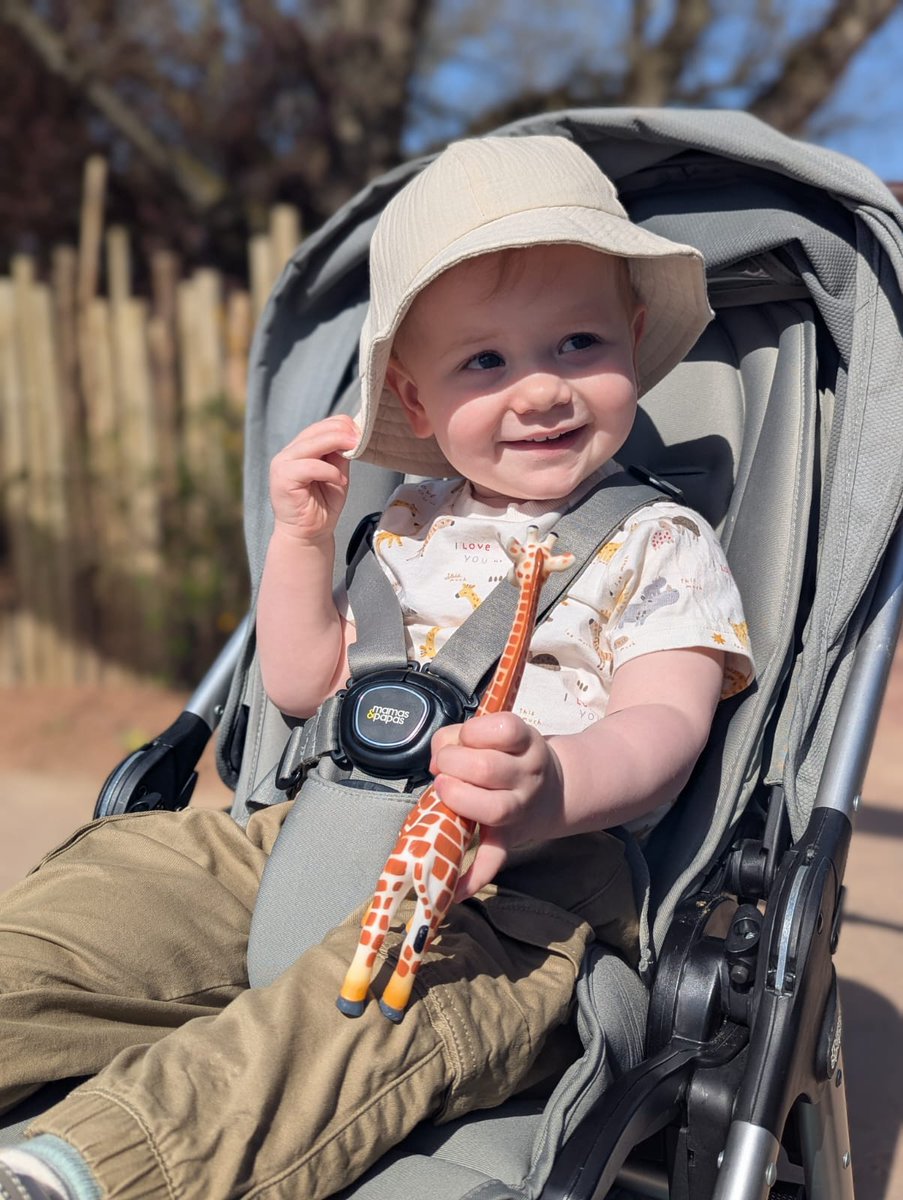 Nath Southern tweet media