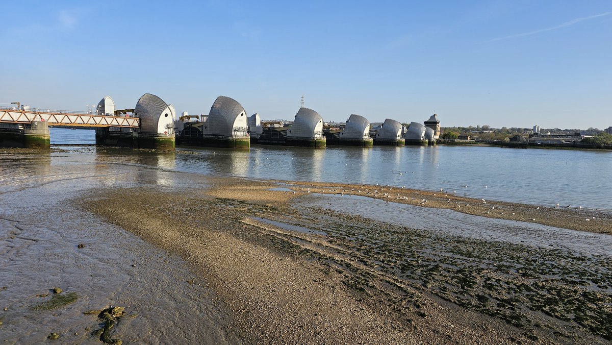 went out to touch some grass, see some doggos in the park and clear my mind a little bc it's been a trying day 🥹