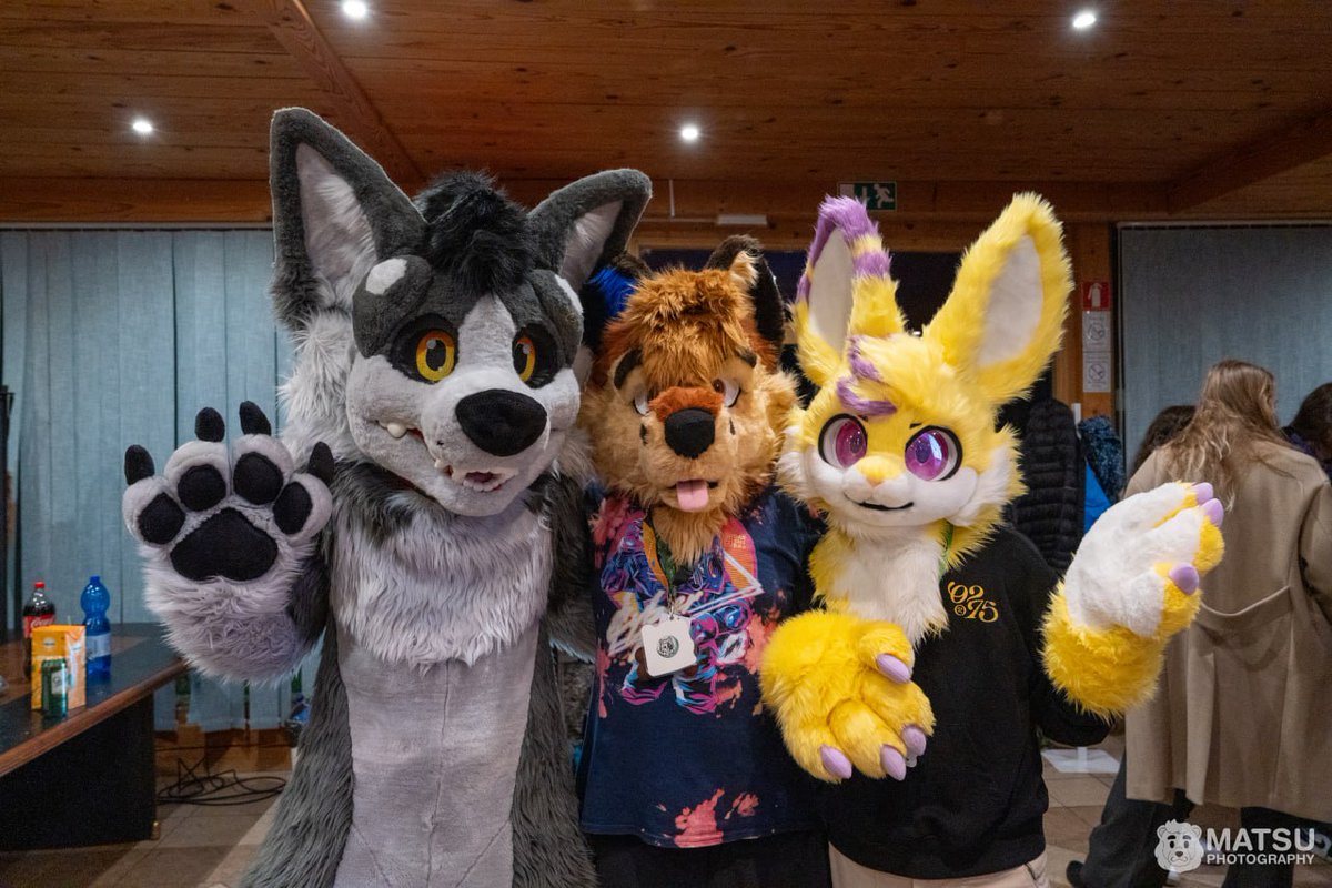 Nate Fosky 🦊🐶✨🌸🌷🌱❤️ tweet media