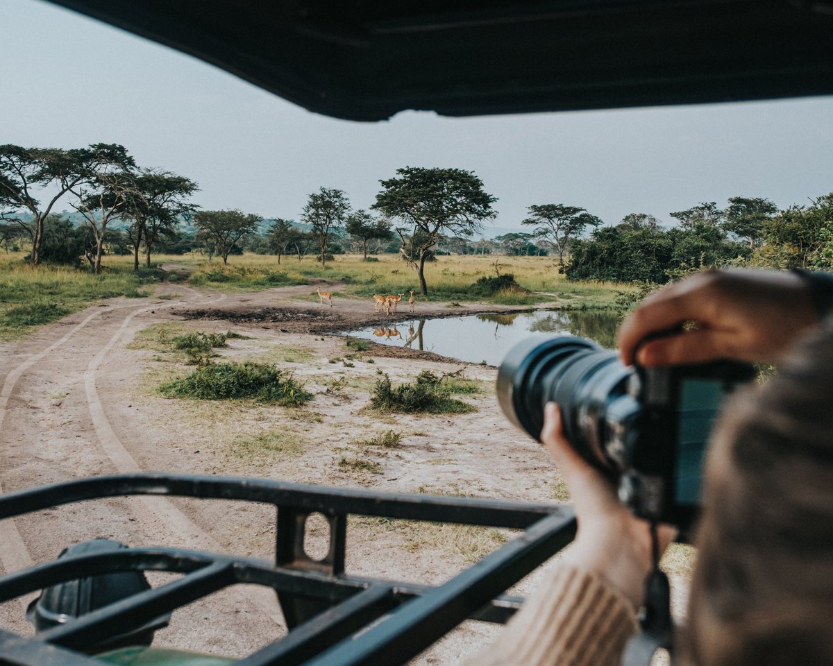gorillaspec's tweet photo. Beautiful moment in lake mburo national Park, ugandais reallysp bless #ตัวอย่างข้ามฟ้าเคียงเธอ #ParoGeneral #MSDhoni #linglingkwong https://t.co/BOsha5fLNV