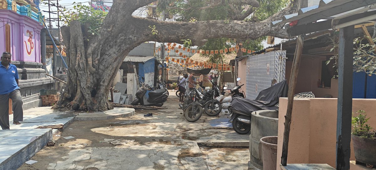 Kaumudhi tweet media