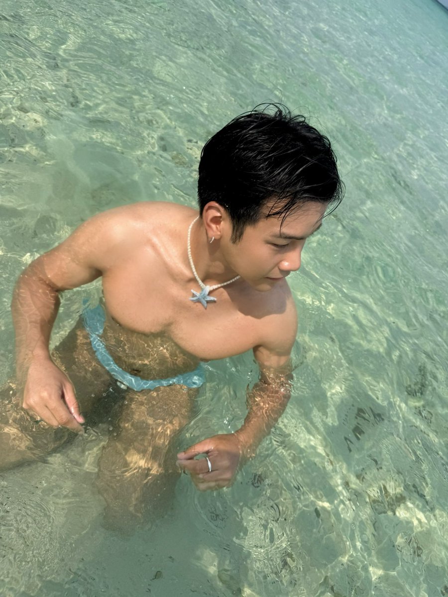 Barabig5's tweet photo. 🐳🐬🩵🌊 https://t.co/hemQj22nQq