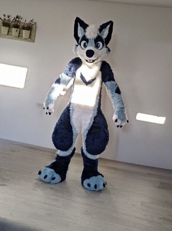 Ready to cause chaos this #fursuitfriday !

#furry #fursuit #furryirl