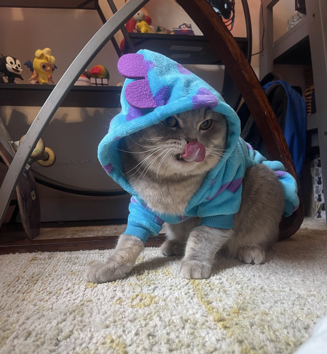 Got my boy looking swaaaaggy