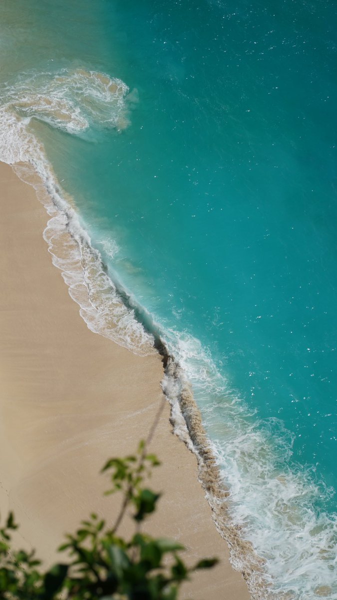 Calum Palla tweet media