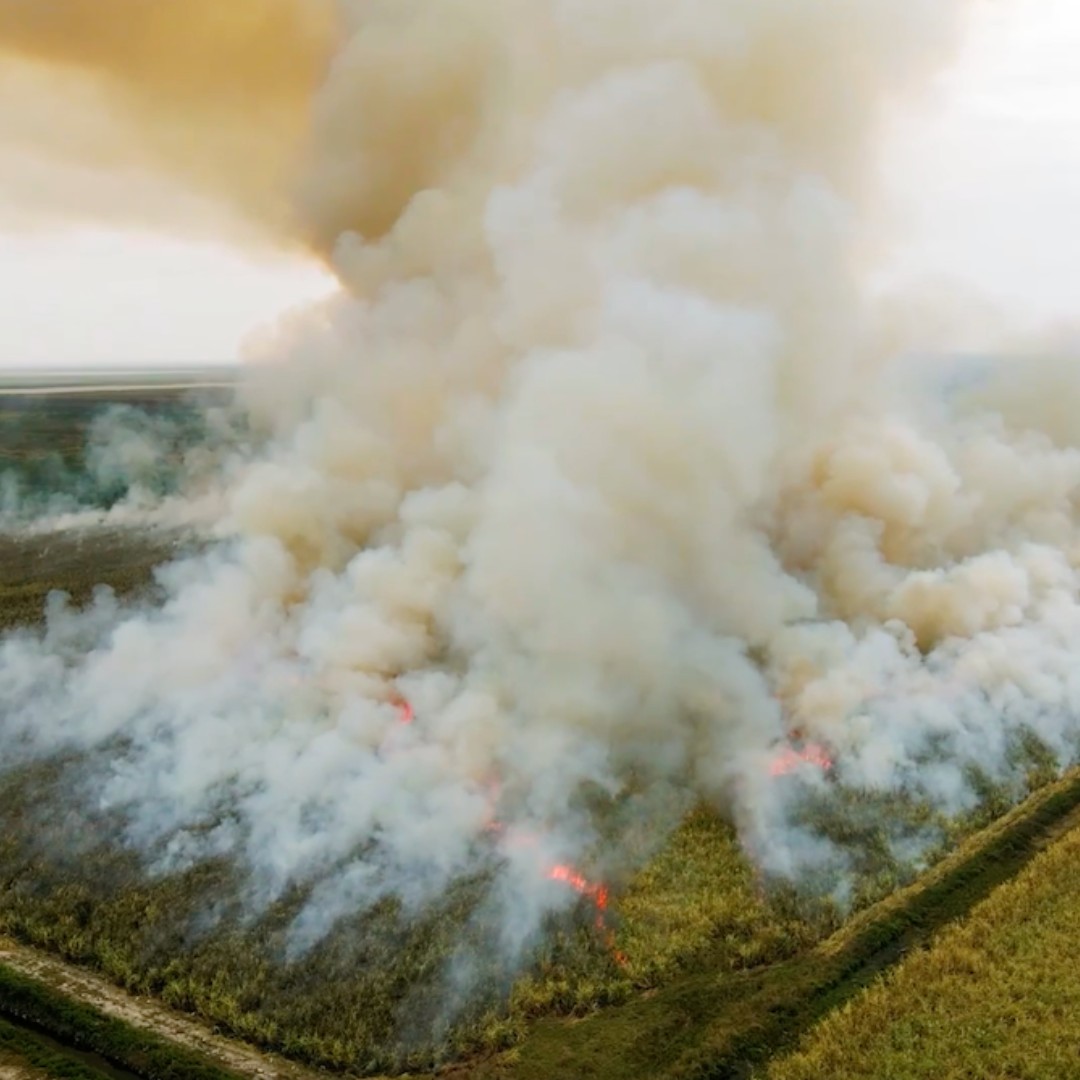 A recent ruling has been made in the long-running lawsuit involving Big Sugar and water management in South Florida. The outcome could have important implications for ecosystems that support our fisheries.

Read more from Captains For Clean Water: 
ow.ly/Ijro50VwNLV