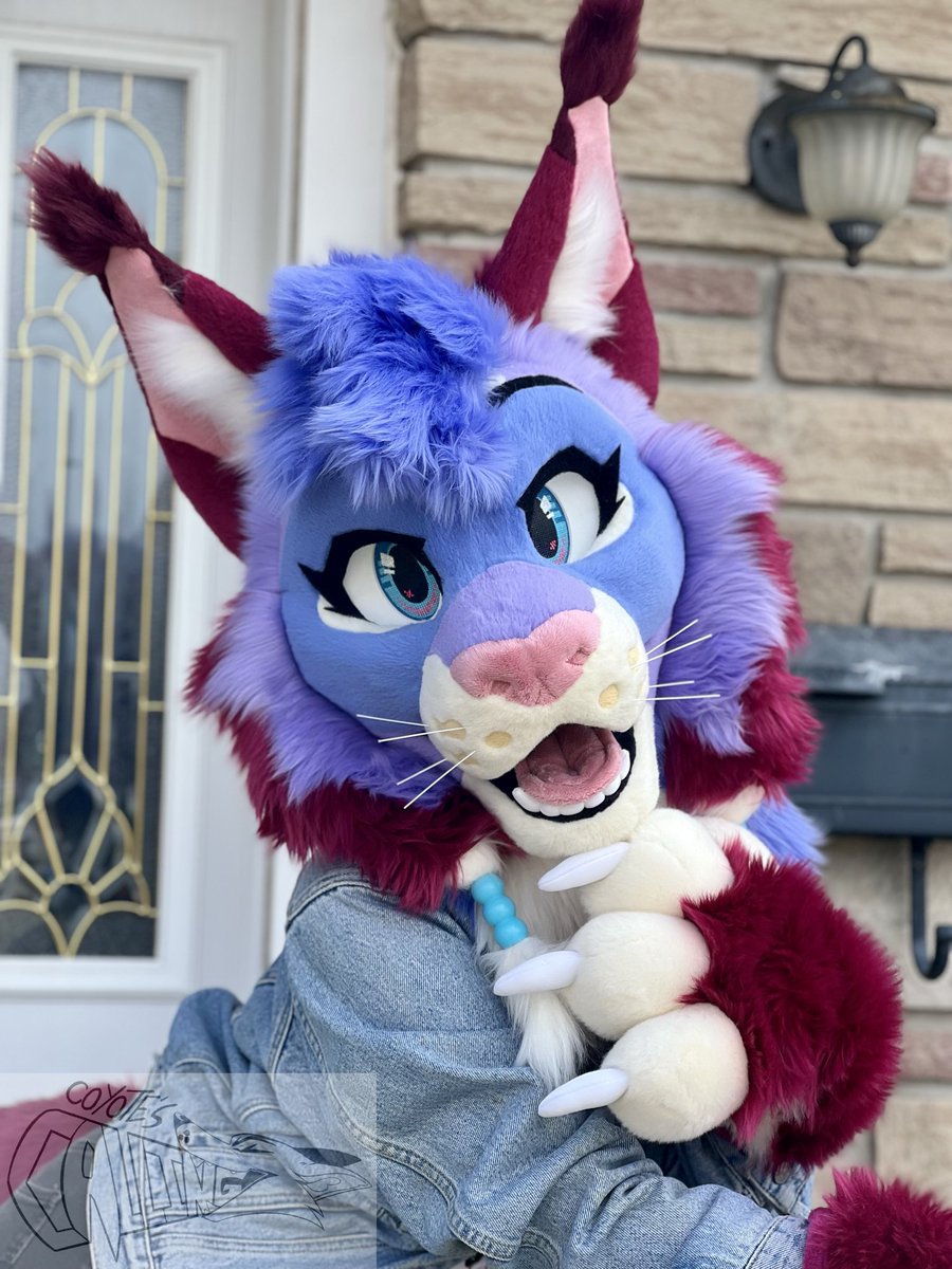 CoyotesCalling ➡️AC2025 tweet media