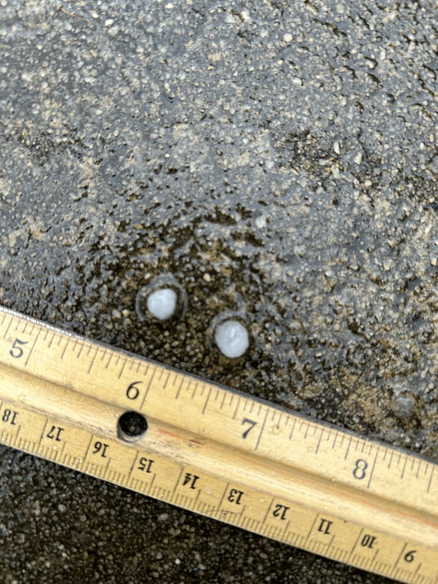 imakillerdad's tweet image. Pea-size at Sandy Flat, 253 at 290 @NWSGSP