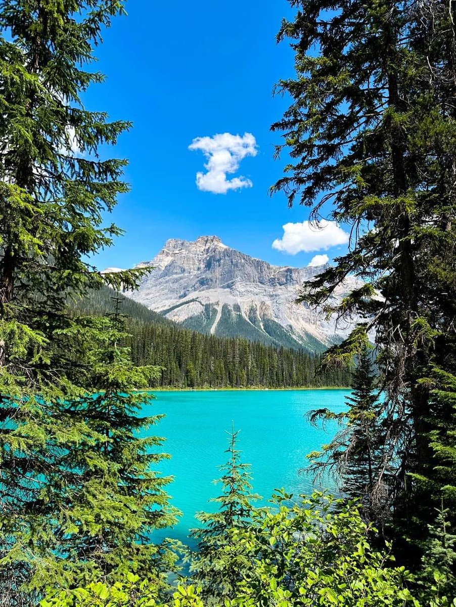 MitchellWi79248's tweet image. Yoho National Park