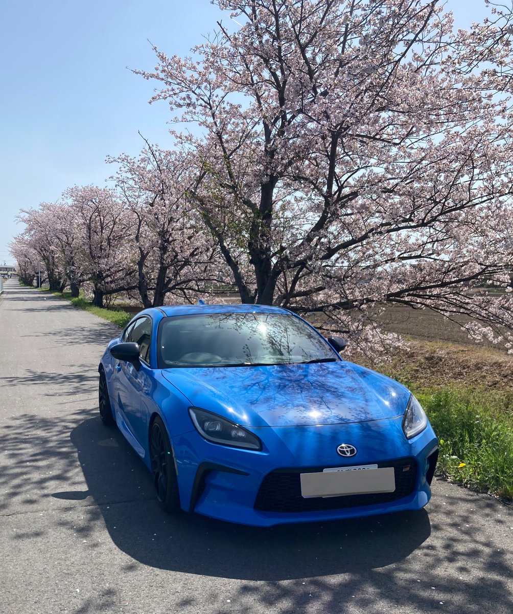 wangan4735's tweet photo. 桜の季節やし珍しく撮った https://t.co/aP0WhqWzB7