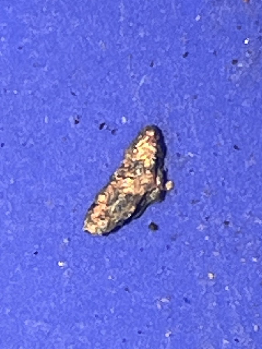 The darkness is fascinating 🧐