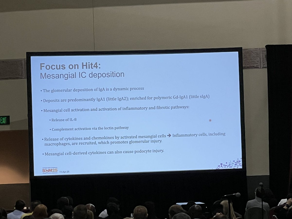 We’re discussing the latest science on the pathogenesis of IgAN and our speakers are providing an update on the current and emerging therapeutic landscape of IgAN. #NKFClinicals