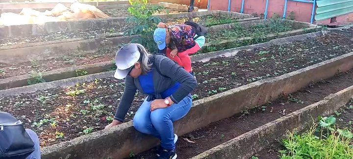 #EPASECAvila en cambio de labor. Al organopónico le dedicamos este viernes en la batalla por la soberanía alimentaria de #CiegoEn26 en saludo al 1ro de Mayo. 
#CubaVencerá 
#CiegodeAvila