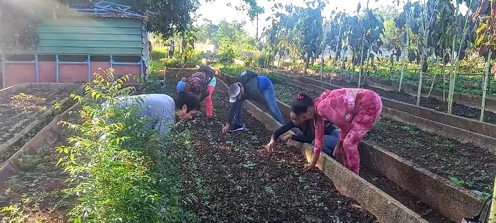 OnelEpase's tweet photo. #EPASECAvila en cambio de labor. Al organopónico le dedicamos este viernes en la batalla por la soberanía alimentaria de #CiegoEn26 en saludo al 1ro de Mayo. 
#CubaVencerá 
#CiegodeAvila https://t.co/kIQpp4rpV2