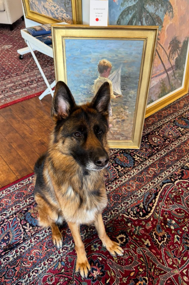 marinearts's tweet photo. @glennbeck Glen , Can’t help but shed tears reading this. Letting go of a dog or cat is one of the most human thing we do and one of the most difficult. God bless Uno….My Shepherd Bo . Best Peter https://t.co/M1t0OFXJWs