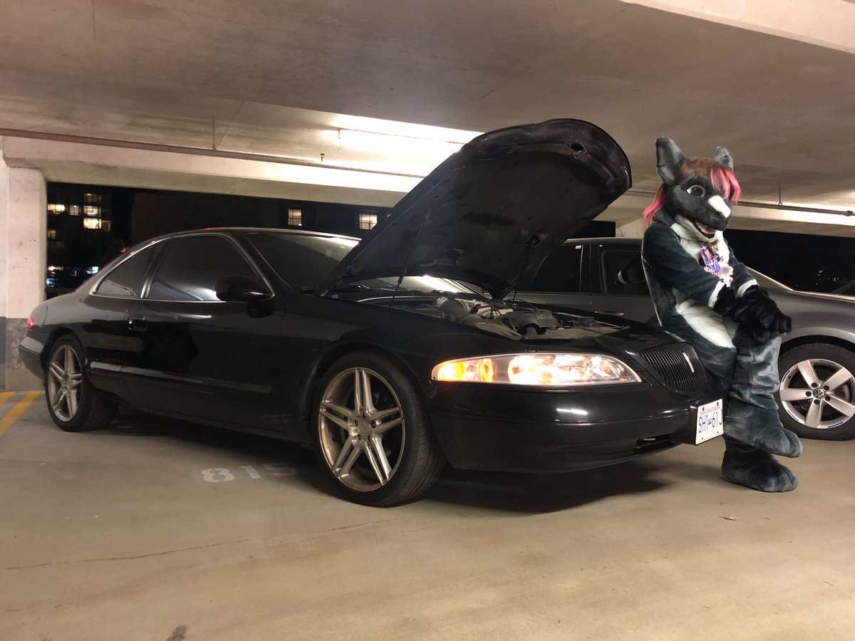 #fursuitfriday time!
Been a good while since I last saw one of these so had to take a photo with it while I was at VF. Many thanks to the owner as well; always loved the look of these