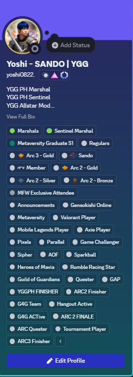 RymrtVn's tweet photo. ARC 3 - Gold Badge Acquired! had fun participating in a lot of YGG events this season 9! while playing one of the best web3 games out there @immortalrising2 
@yggpilinas @yieldguild #YGGGAPS9 #YGGPHARC3 https://t.co/V88WAmpyii