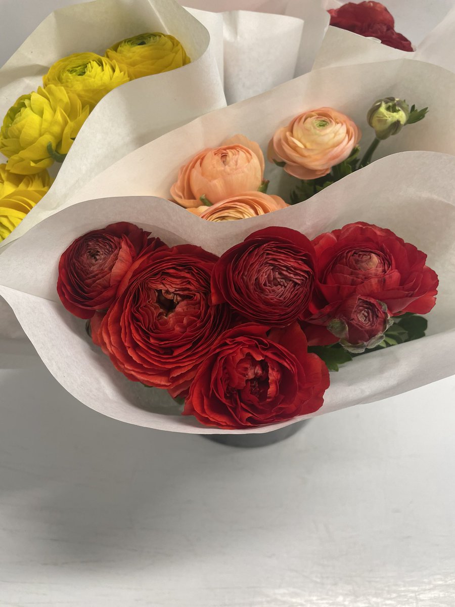 Ranunculus 2025 is a go.
Now available from the flower stall