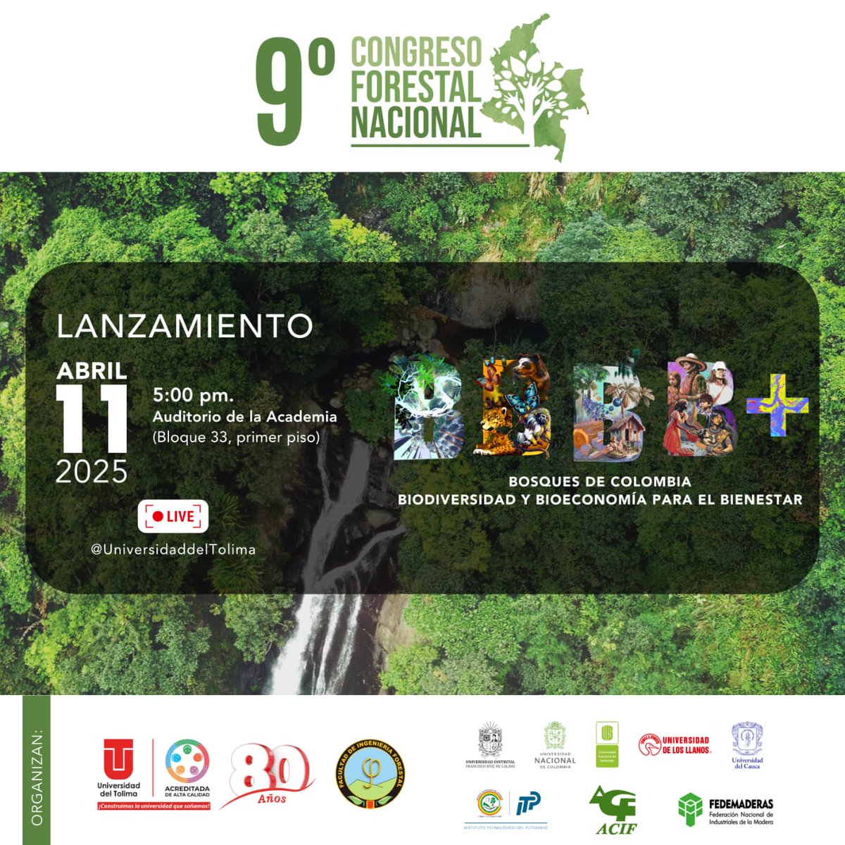 Es hoy! Lanzamiento oficial del 9º Congreso Forestal Nacional! 

📣 ¡Acompáñanos a esta conversación nacional por nuestros bosques!🌳🌳