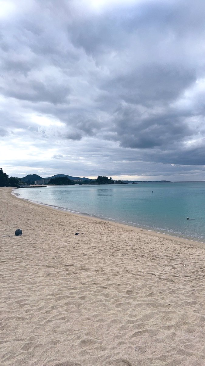 DrShuoFei's tweet photo. Okinawa is unreal.
Bougainvillea flames, a whale shark gliding like a god, neon reef fish, a beach too calm to be true — and butterflies like living brushstrokes.
You need to see this.
#Okinawa #JapanTravel #NatureVibes #HiddenGems https://t.co/aTAGMLsMO4