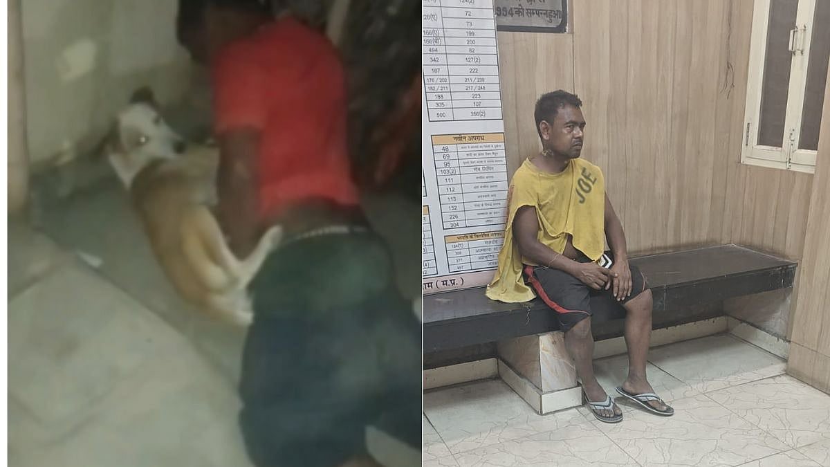 SharmaSable's tweet photo. The rise in cases of animal rape in Delhi is beyond horrifying. These acts are not just cruelty — they’re a reflection of deep-rooted societal sickness. We need stricter laws, faster justice, and better education. #AnimalAbuse #JusticeForAnimals #Delhi 

https://t.co/VjaHfm5r49 https://t.co/3QYVIn2DVO