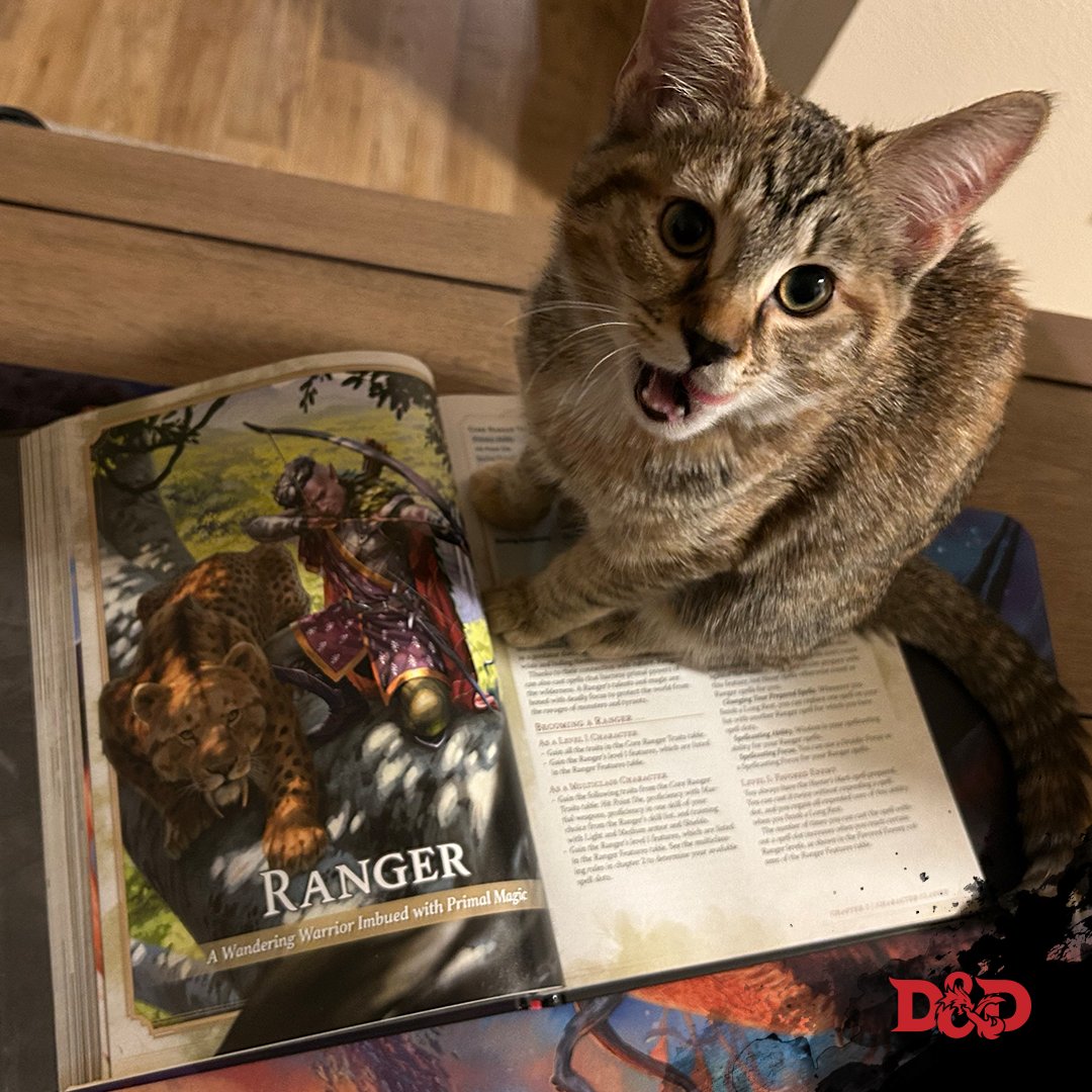 Wizards_DnD's tweet photo. Ain't no rule that says a dog or cat can't play Dungeons &amp; Dragons. #NationalPetDay https://t.co/quHDM4BoZf